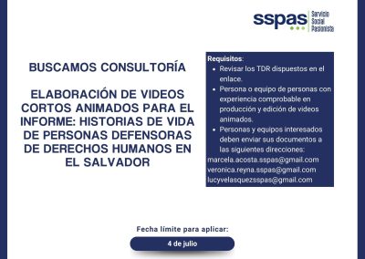 Consultoría para elaboración de vídeos animados